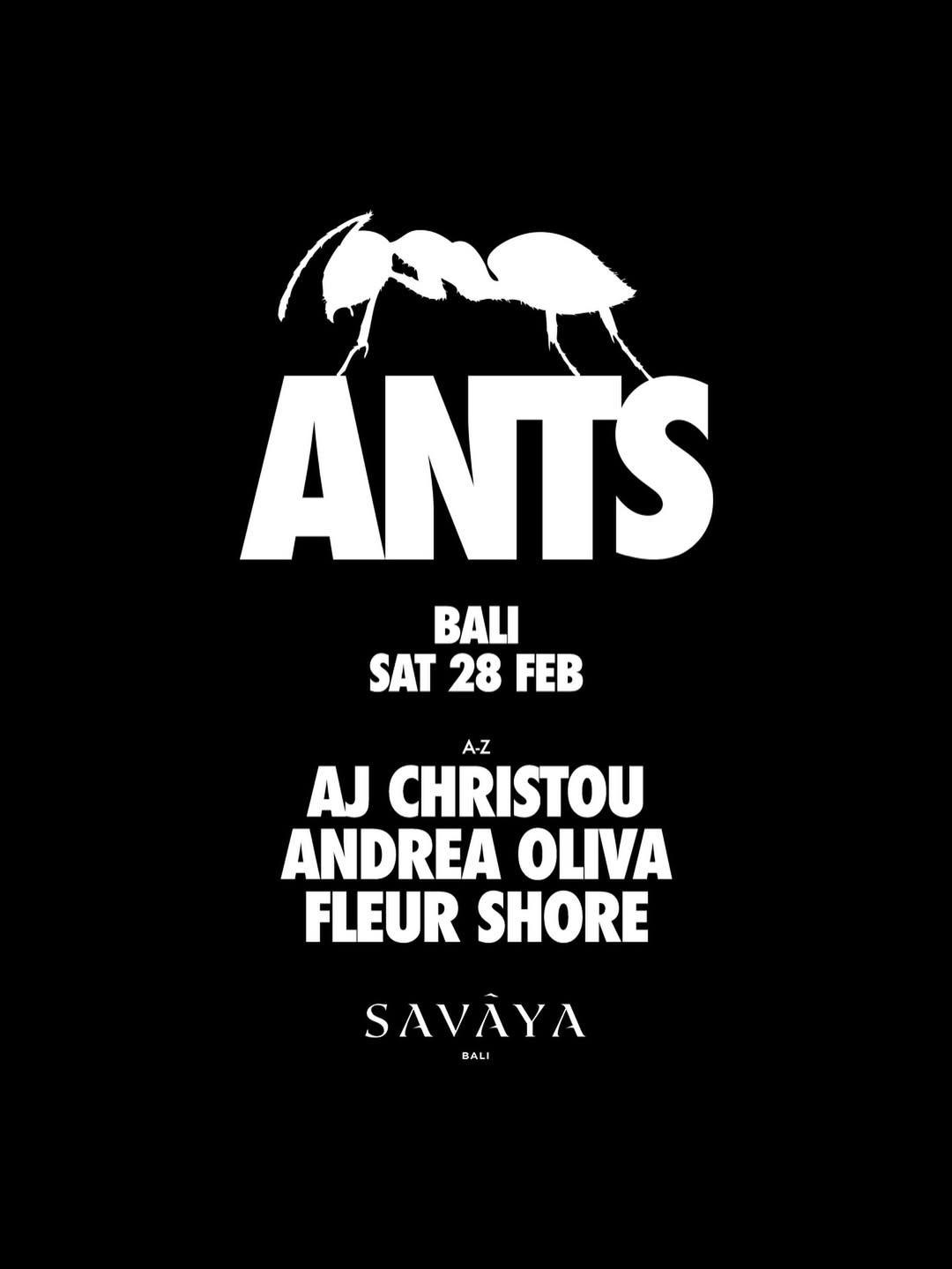 Ants at Savaya Bali