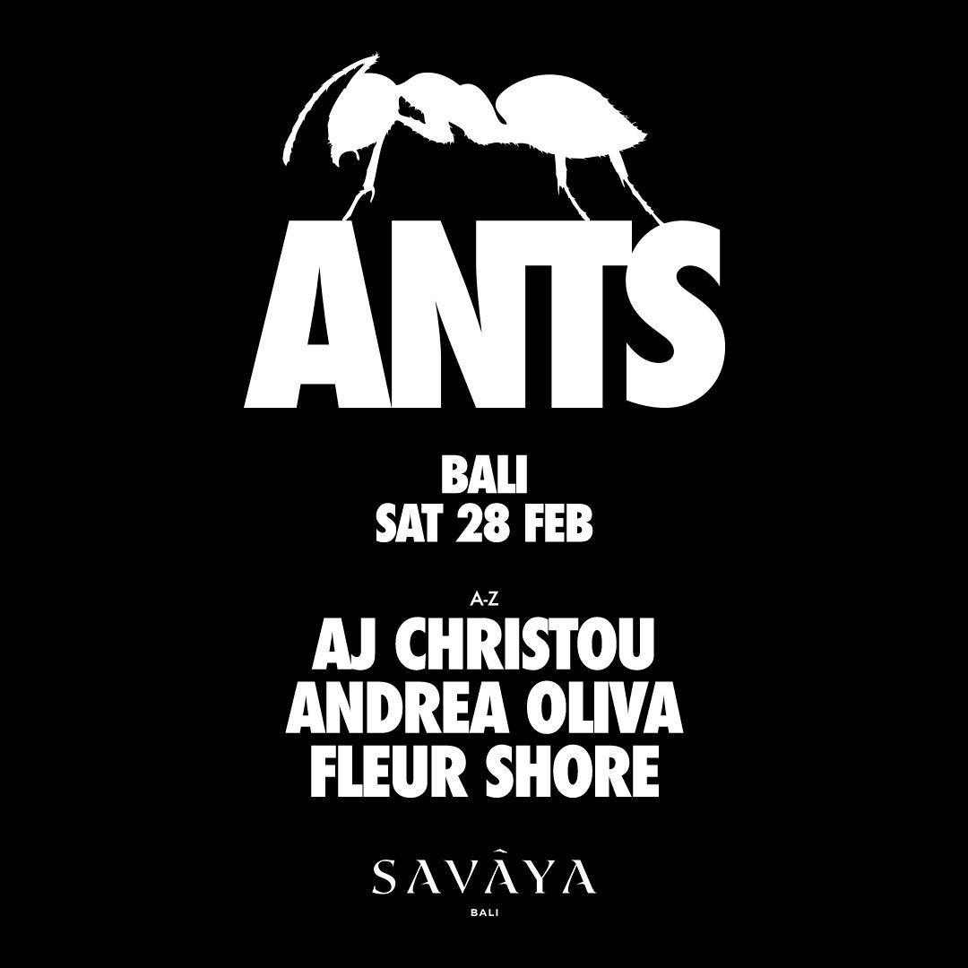 Ants at Savaya Bali Ants at Savaya Bali