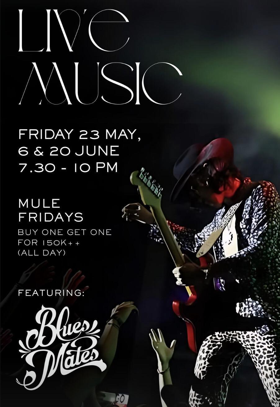 Live Music at Rolling Fork 