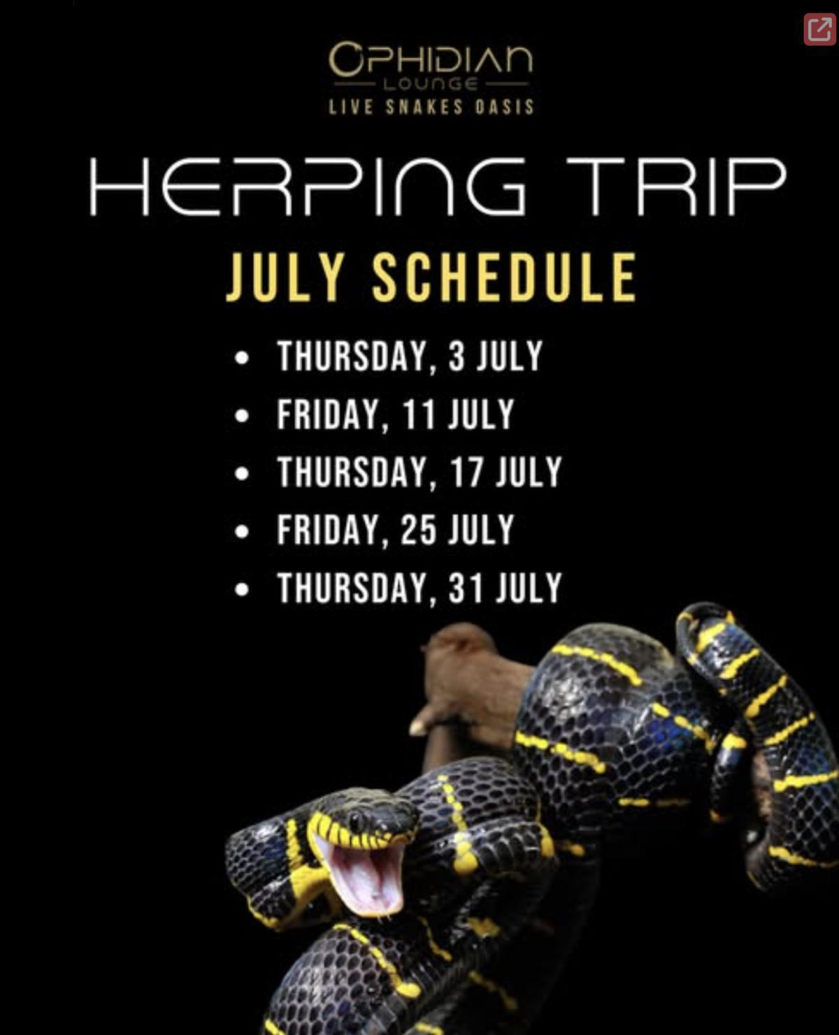 Herping Trip at Ophidian Lounge