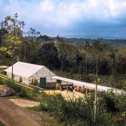 Bali Beans Coffee & Co Bali Beans Coffee & Co