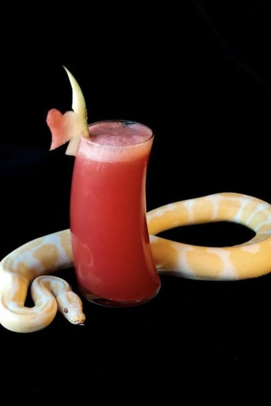 Ophidian Lounge 