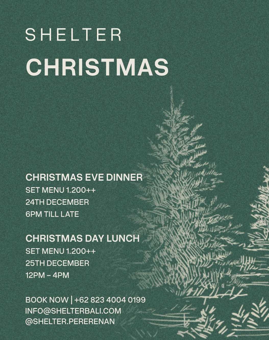 Christmas DAYS at Shelter 