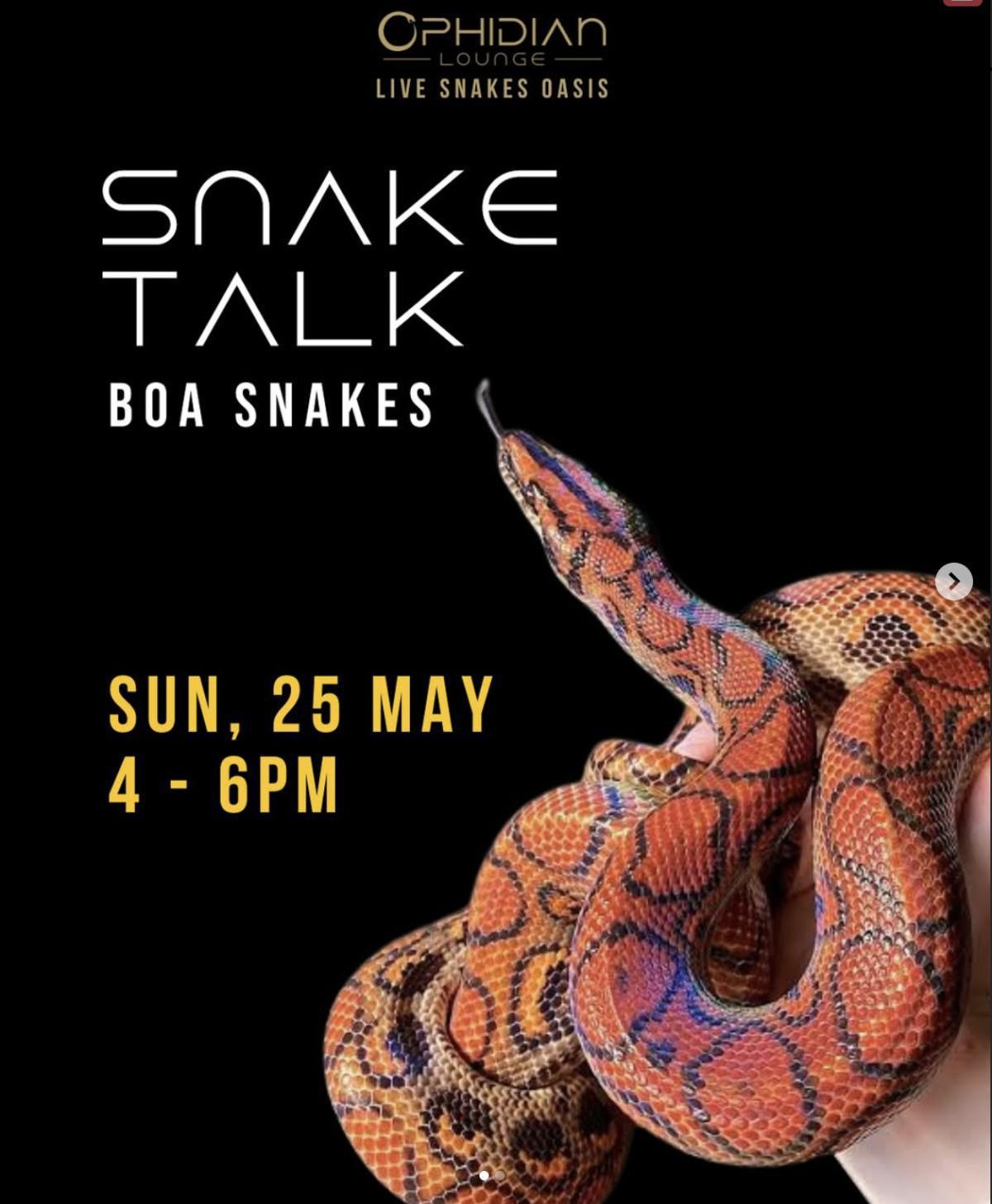 Snake Talk at Ophidian Lounge