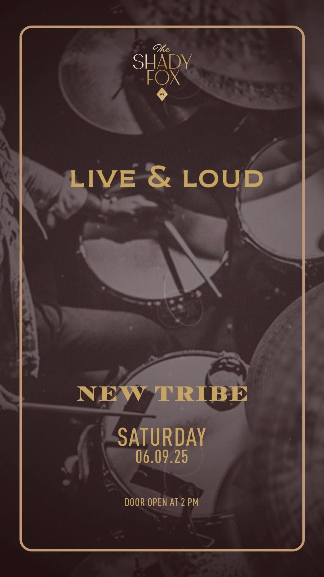Saturday at Shady Fox