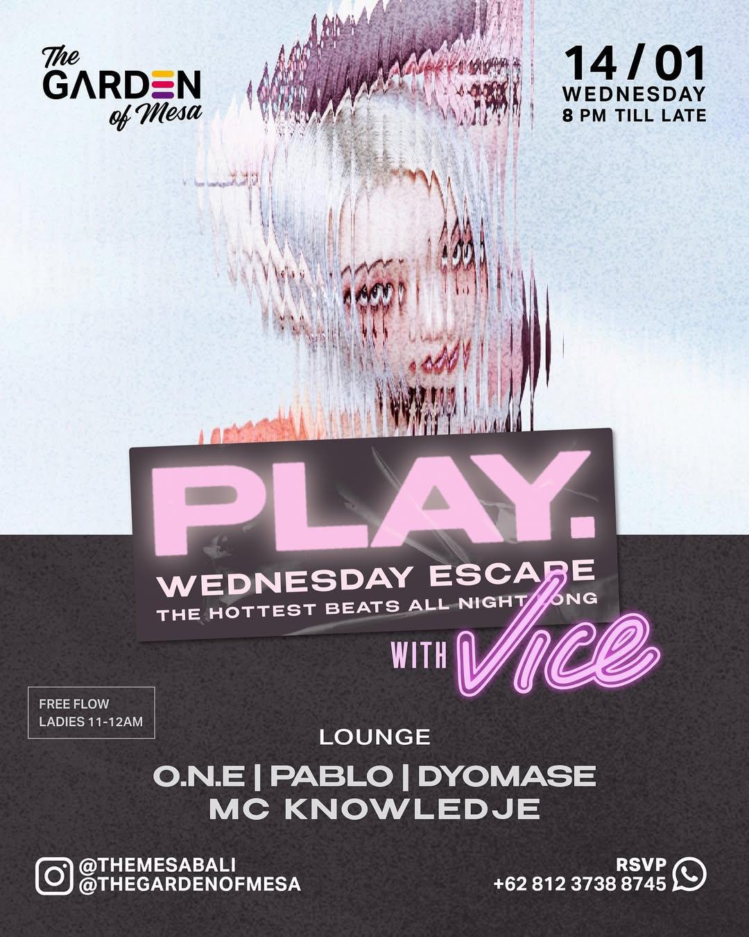 Play With Vice at The Mesa Club Play With Vice at The Mesa Club