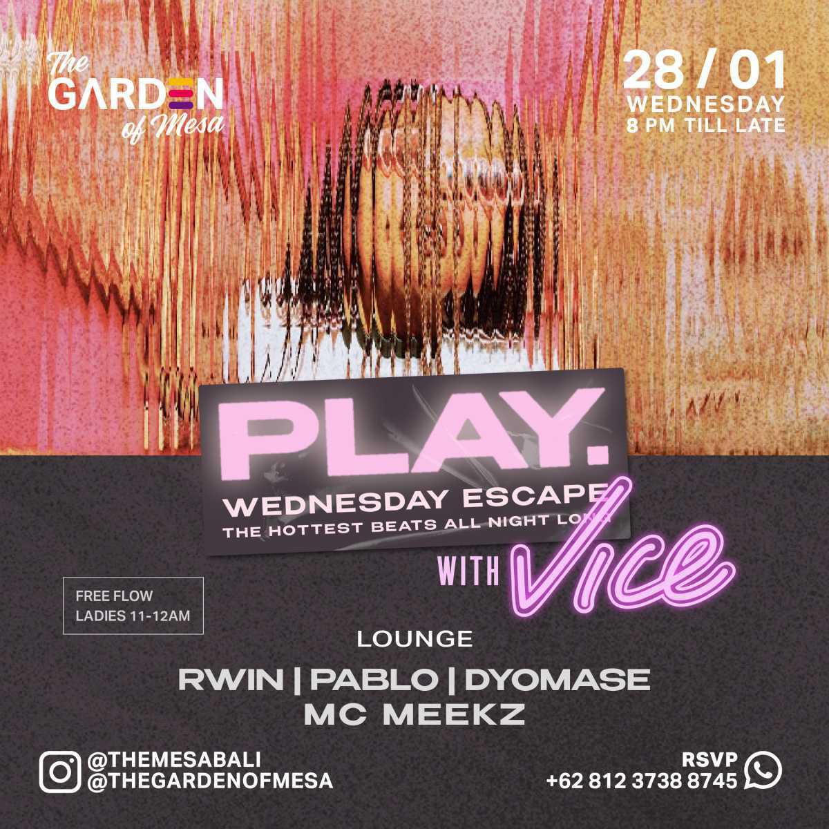 Play With Vice at The Mesa Club