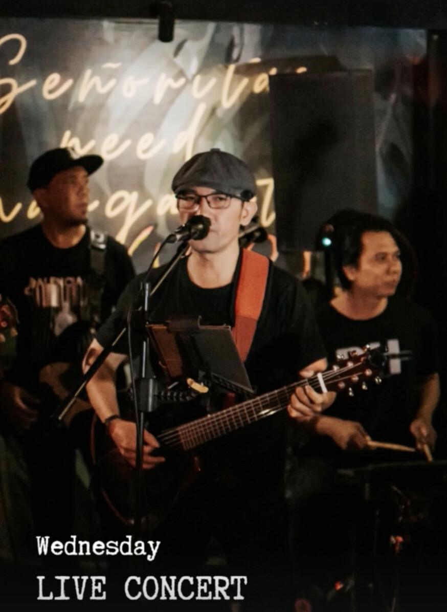 Live Concert at Calle Ocho 