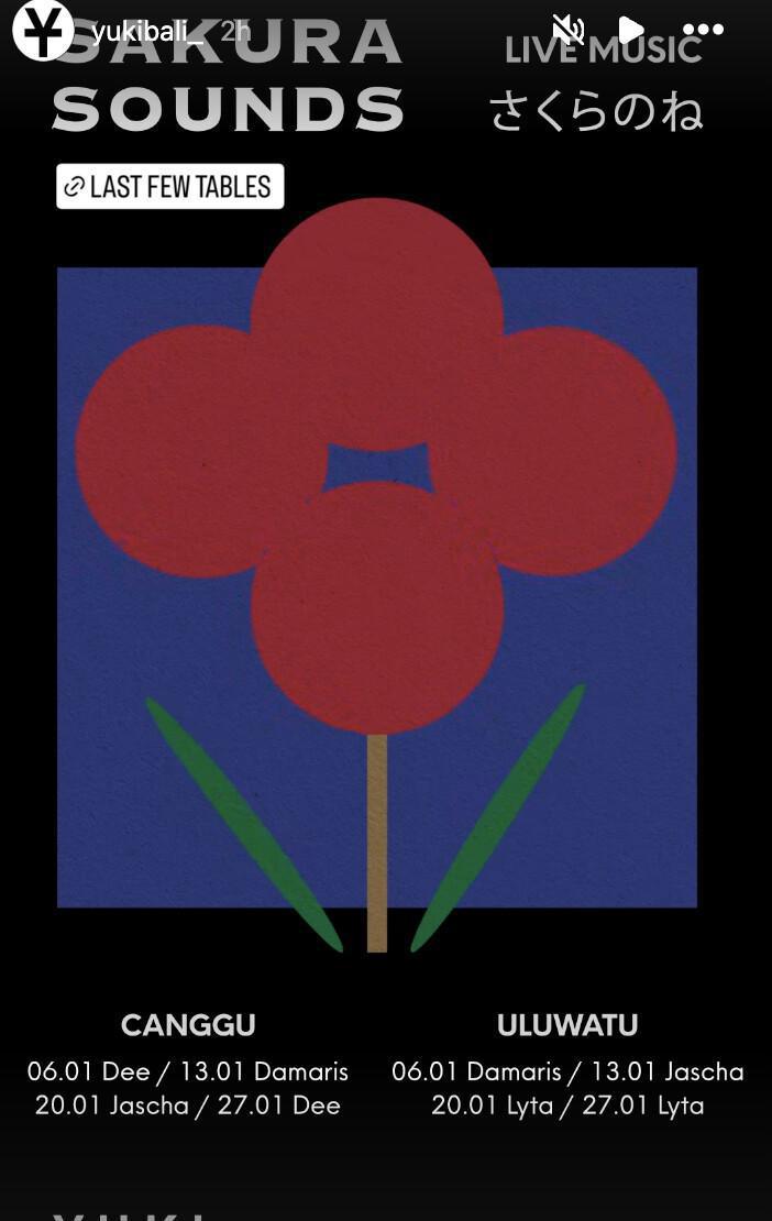 Sakura Sounds at YUKI CANGGU