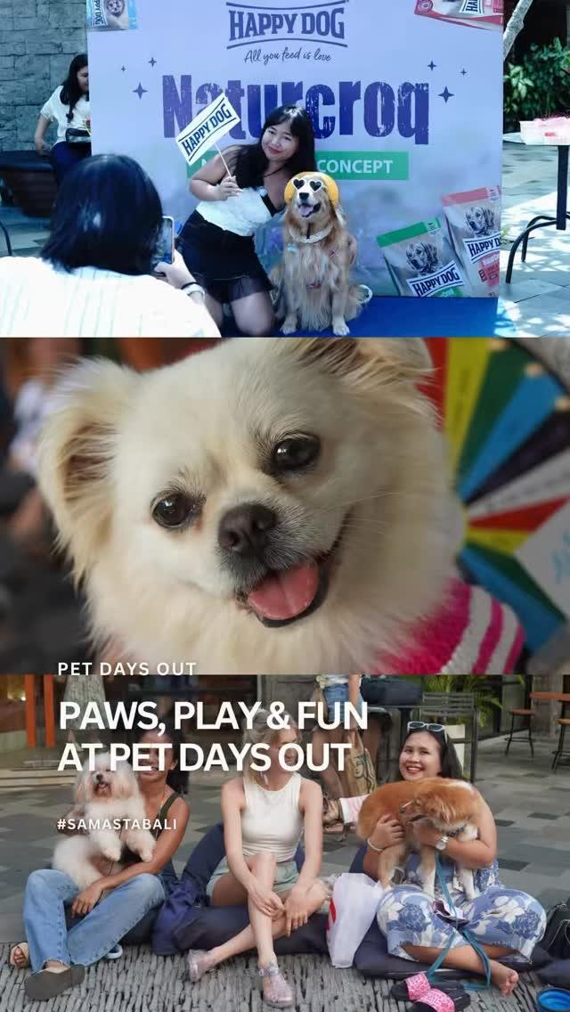 Pet Days Out at Samasta Bali Pet Days Out at Samasta Bali