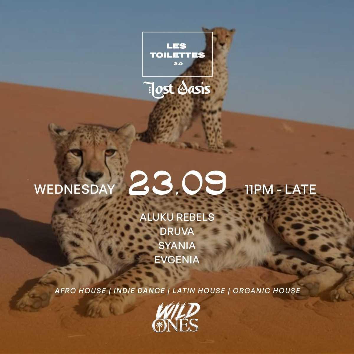 Wednesday at Les Toilettes
