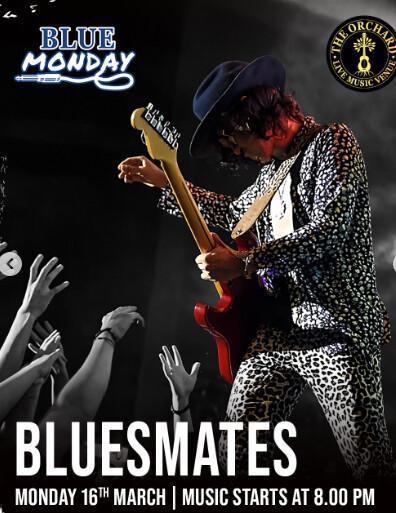 This Week's Events at The Orchard Bali