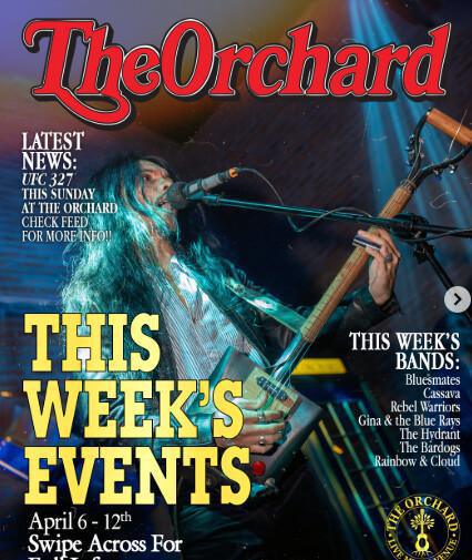 This Week's Events at The Orchard Bali