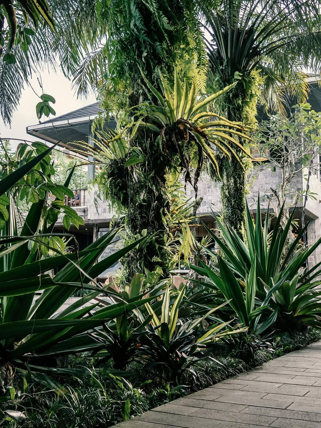 Onyx Park Resort Ubud