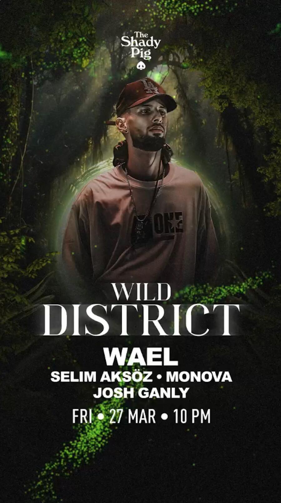 Wild District at The Shady Pig Berawa