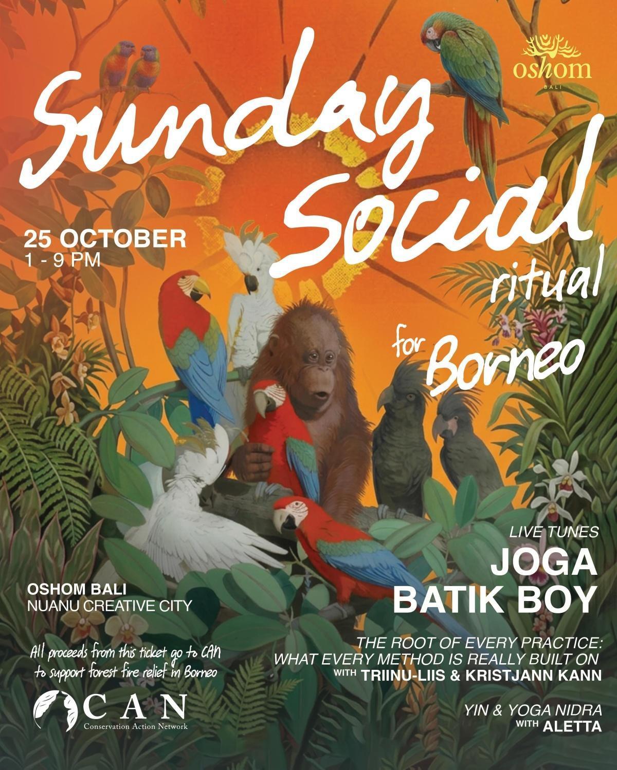 SUNday Social Special Edition: Kalimantan Fundraising at Oshom Bali SUNday Social Special Edition: Kalimantan Fundraising at Oshom Bali