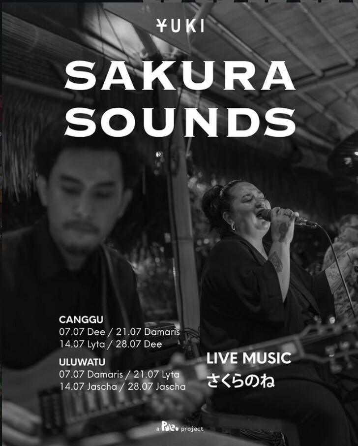 Sakura Sounds Live Music at Yuki Sakura Sounds Live Music at Yuki