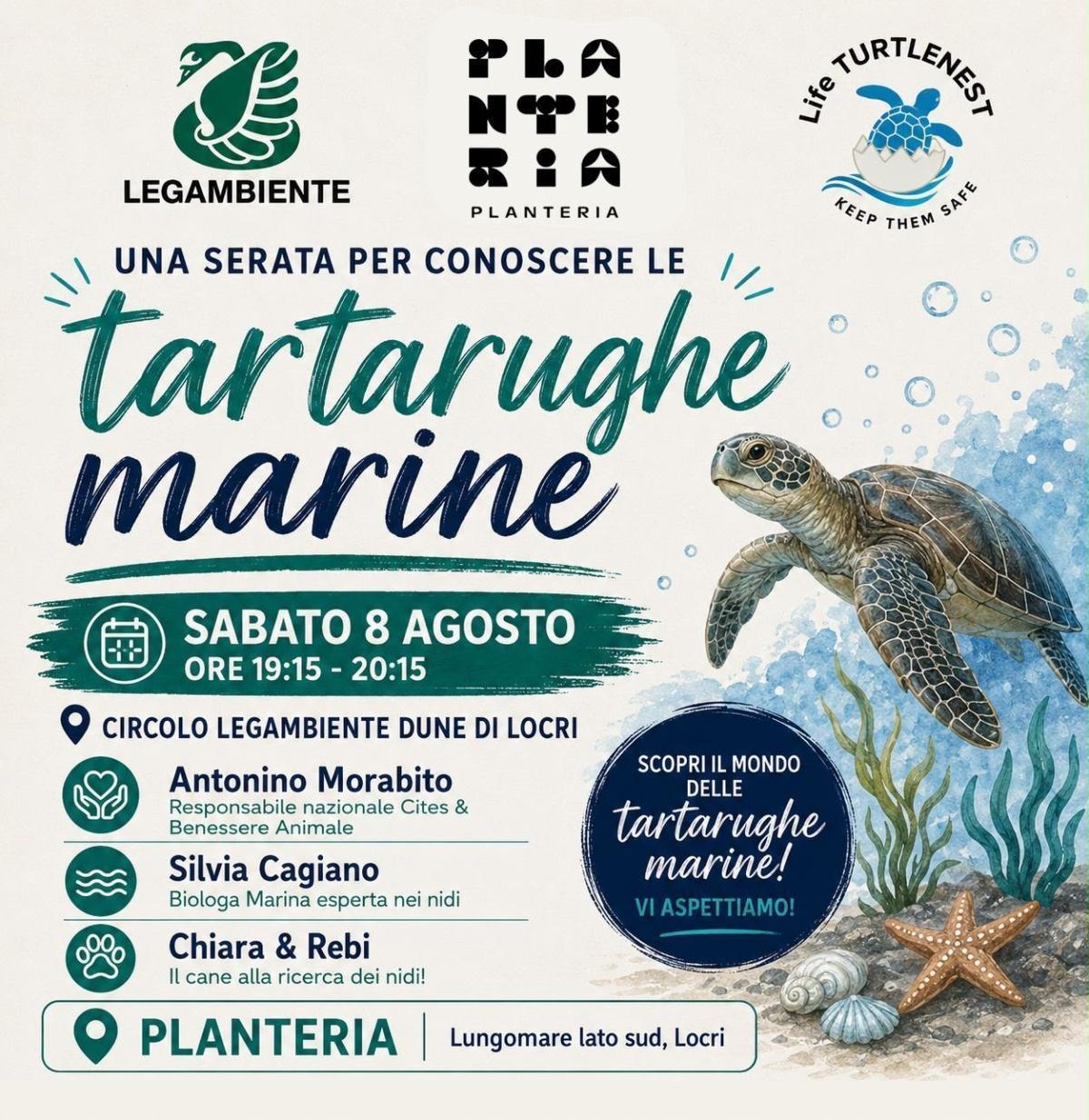 Tartarughe marine. Una serata per conoscerle. (start h 19:15)