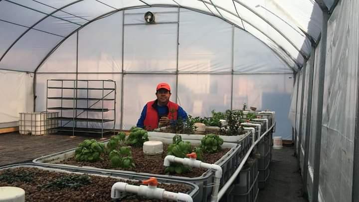 Invernaderos profesionales