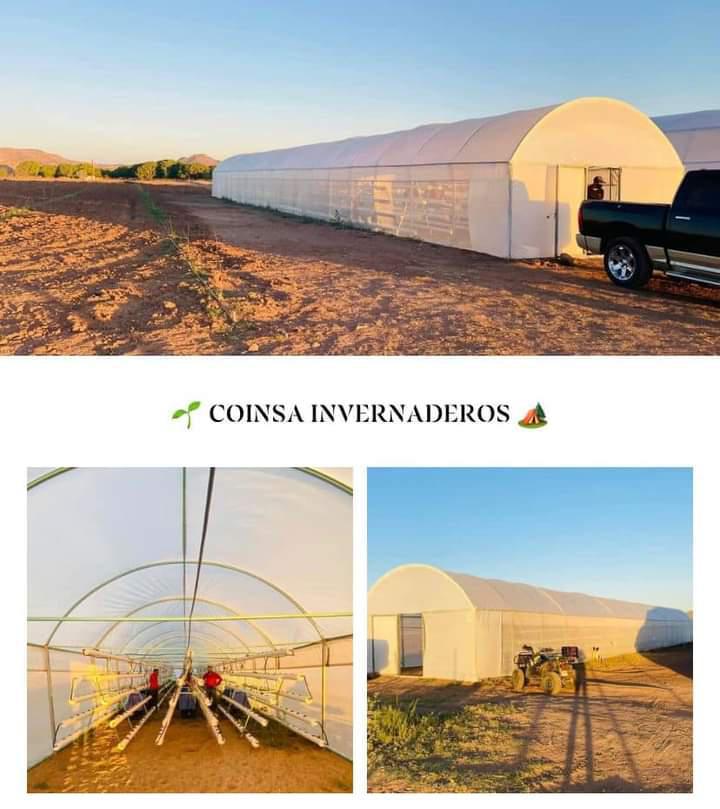 Invernaderos profesionales