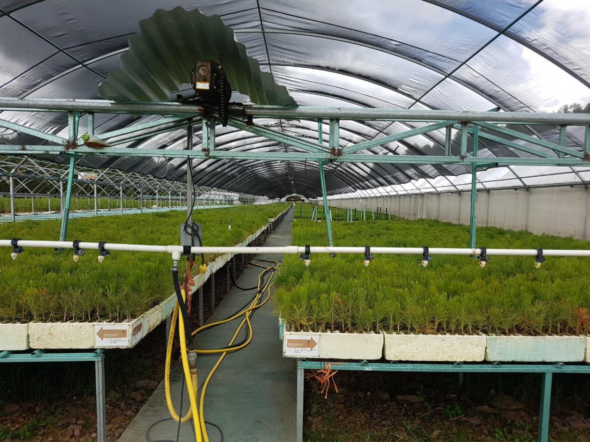 Invernaderos profesionales