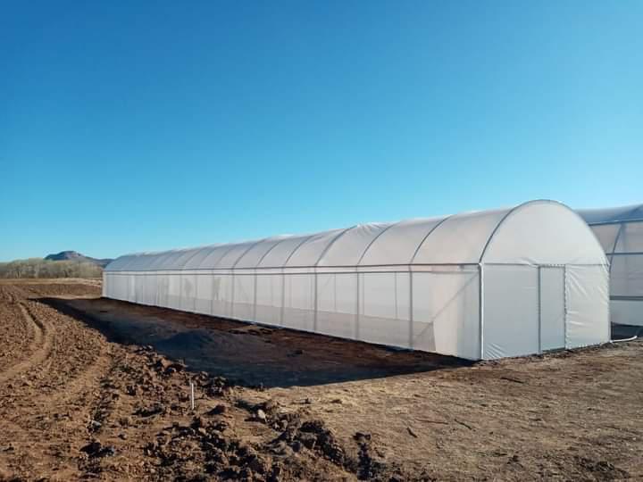 Invernaderos profesionales