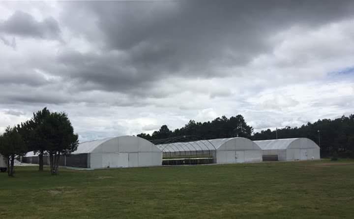 Invernaderos profesionales