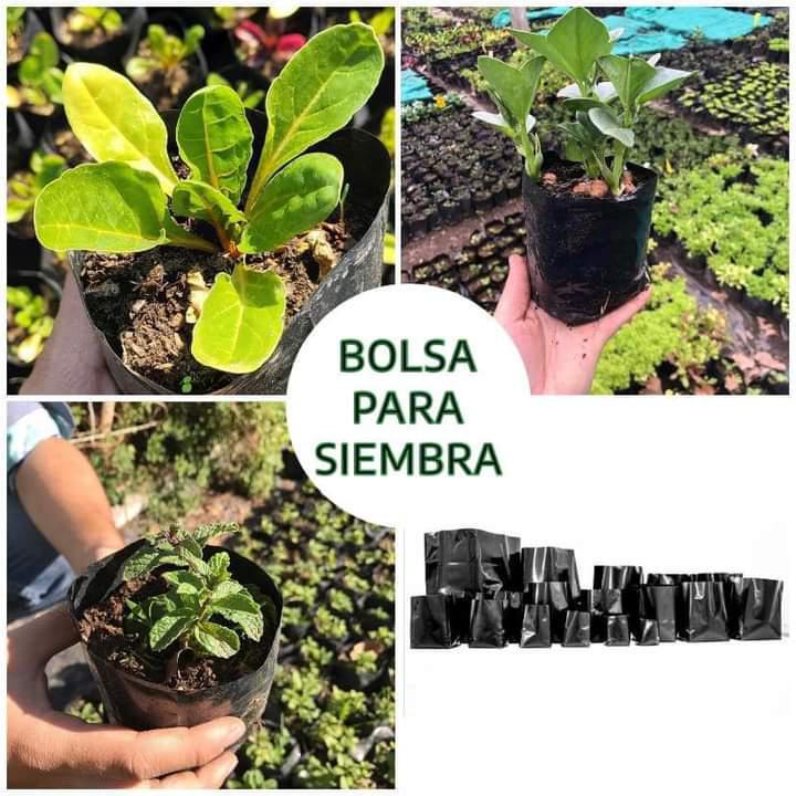 Materiales para siembra