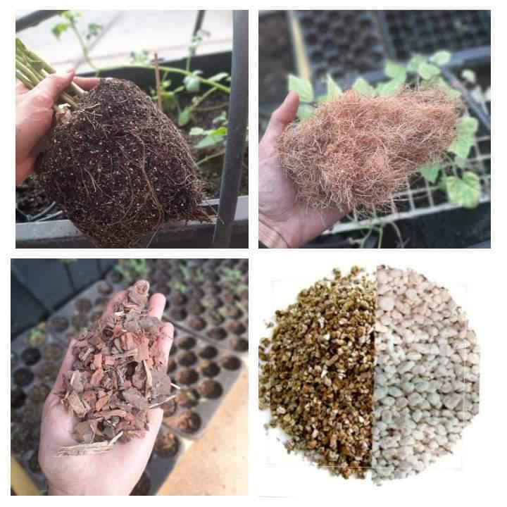 Materiales para siembra