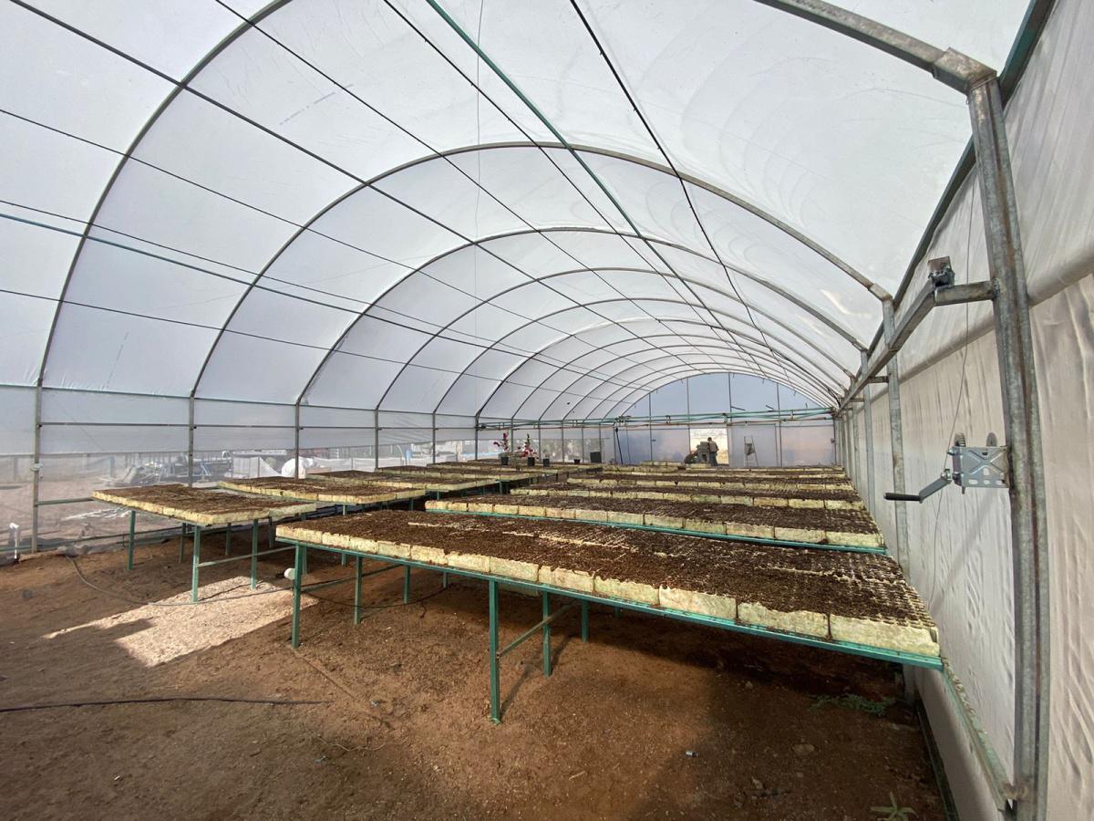 Invernadero Didáctico