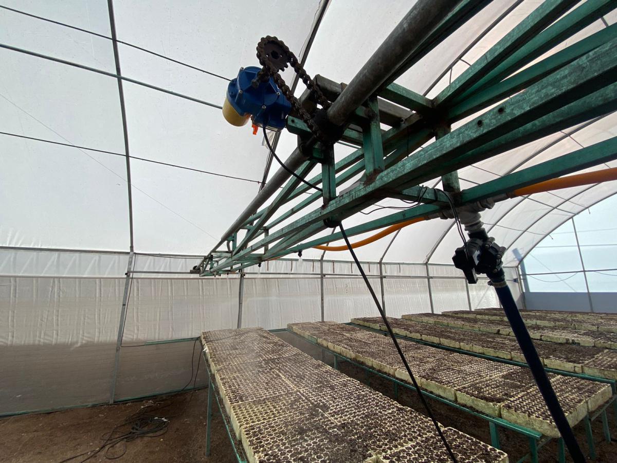 Invernadero Didáctico