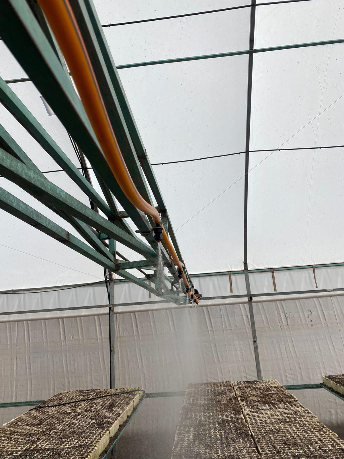 Invernadero Didáctico