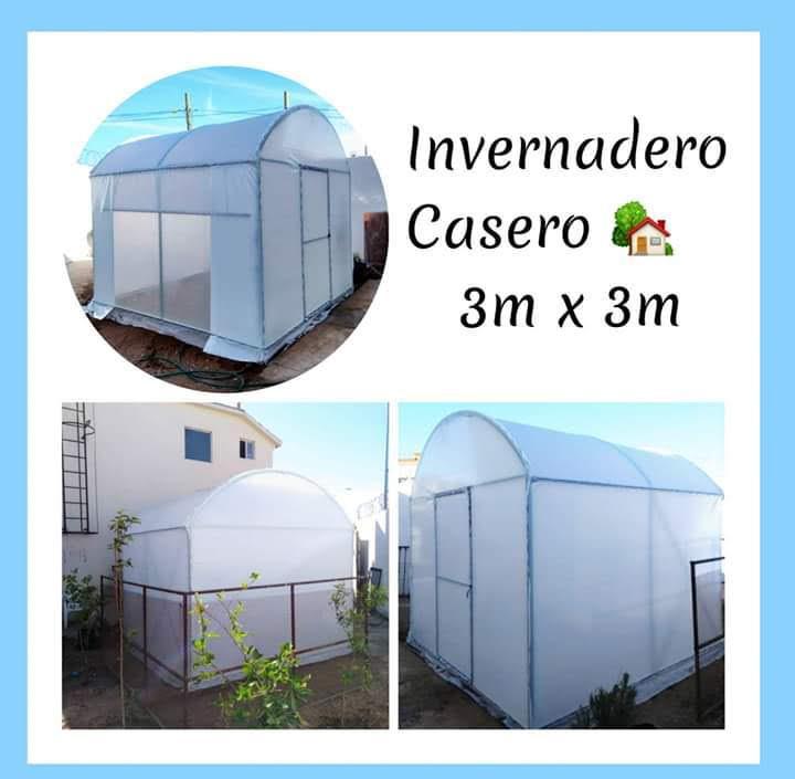 Invernadero Casero
