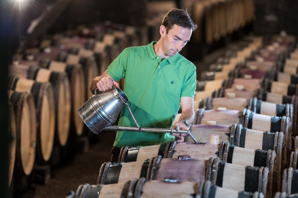 Benoit Eschard, Domaine Jeannin Naltet