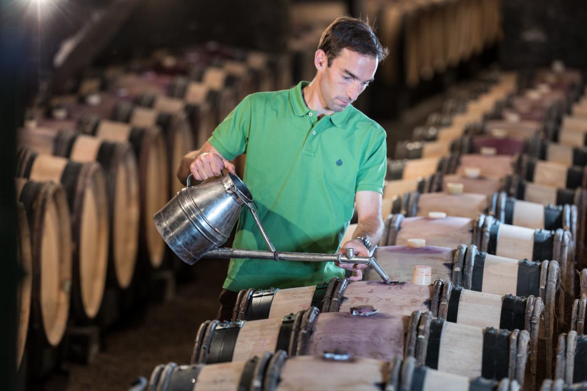 Benoit Eschard, Domaine Jeannin Naltet Benoit Eschard, Domaine Jeannin Naltet
