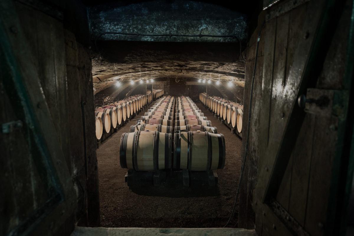 Benoit Eschard, Domaine Jeannin Naltet