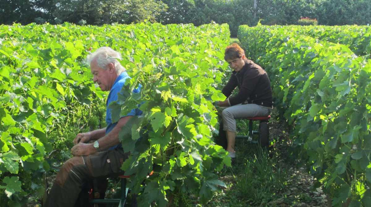 Denis Collart, Château Donjon de Bruignac Denis Collart, Château Donjon de Bruignac