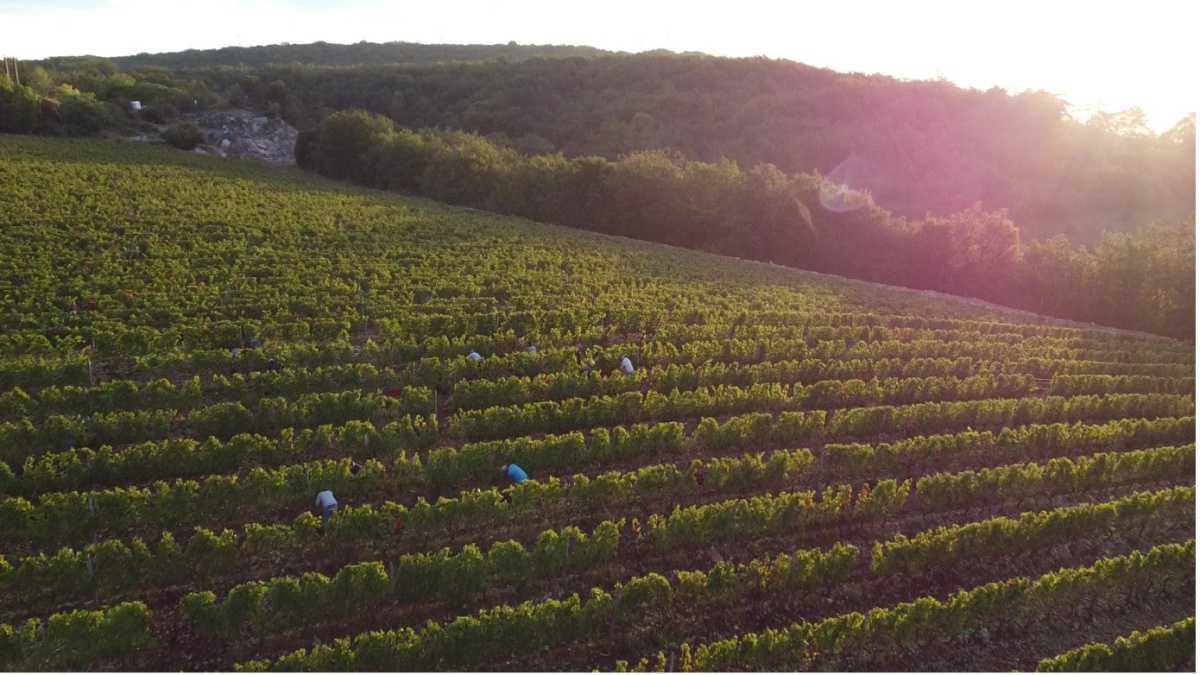 Stéphanie Bissey, Domaine Les Champs Baudots