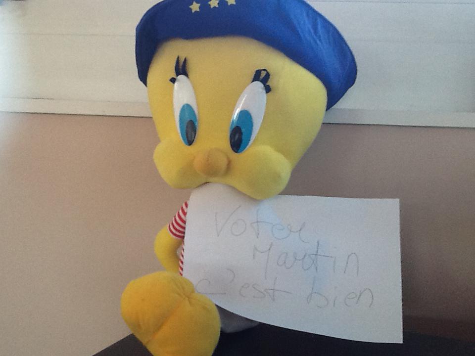 Je reçois par courriel ce portrait d'un jeune supporter. La mascotte de la liste ?