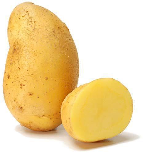 Purée de pommes de terre pour 500 convives