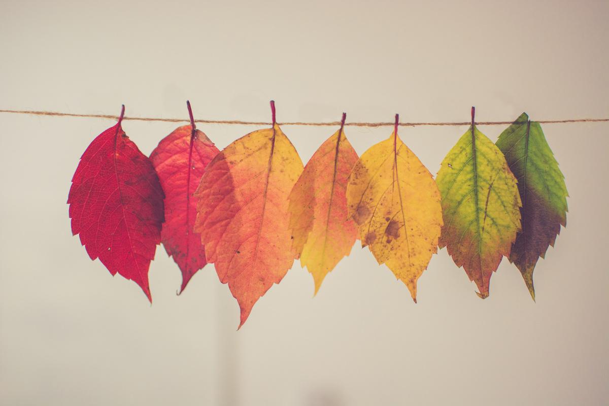 Ya llegan Los Reyes Magos Ya llegan Los Reyes Magos