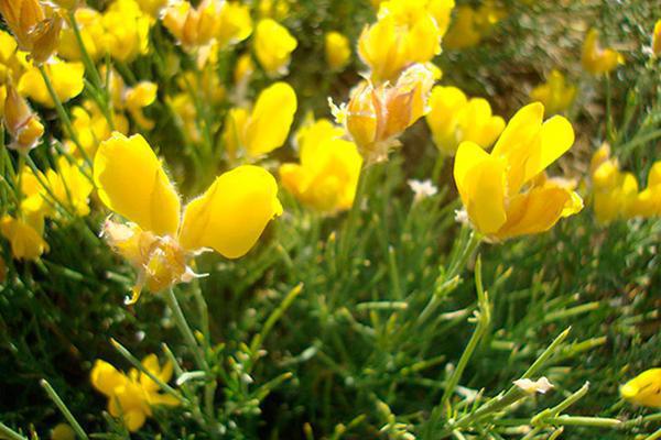 El tiempo. El tiempo.