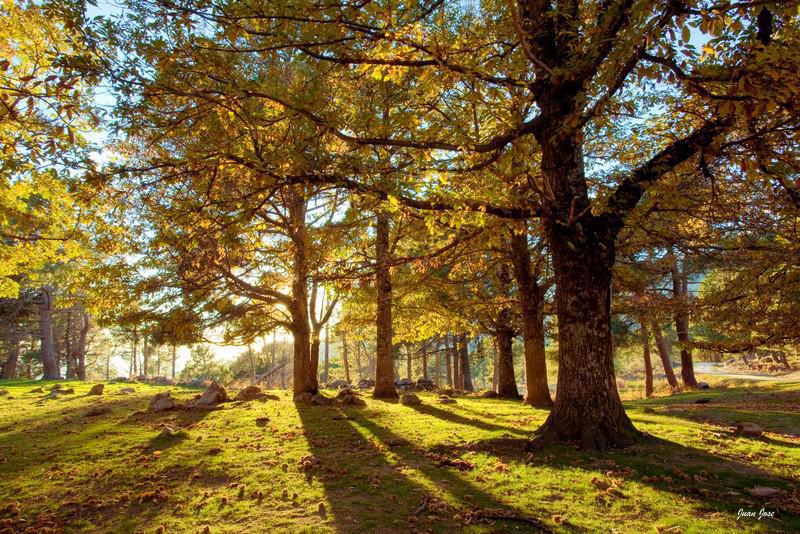 PiedralavES + PiedralavES +