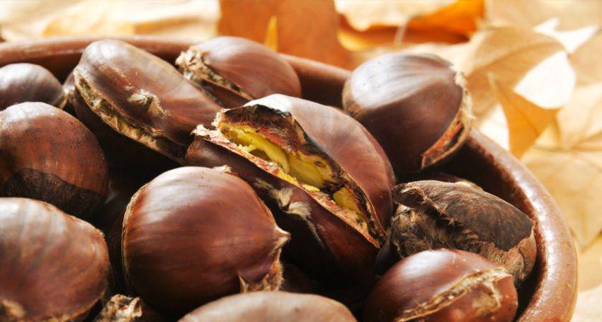 El Castañar de La Angostura, sus frutos y setas. El Castañar de La Angostura, sus frutos y setas.