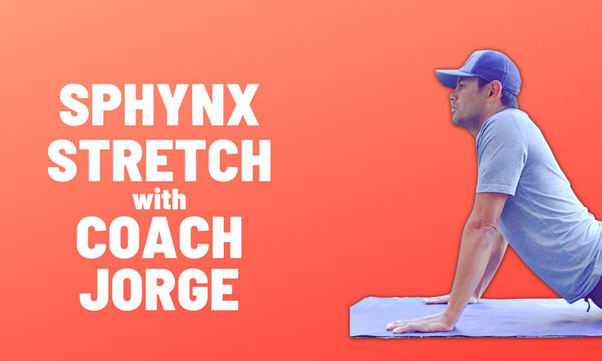 Sphynx Stretch w/ Coach Jorge