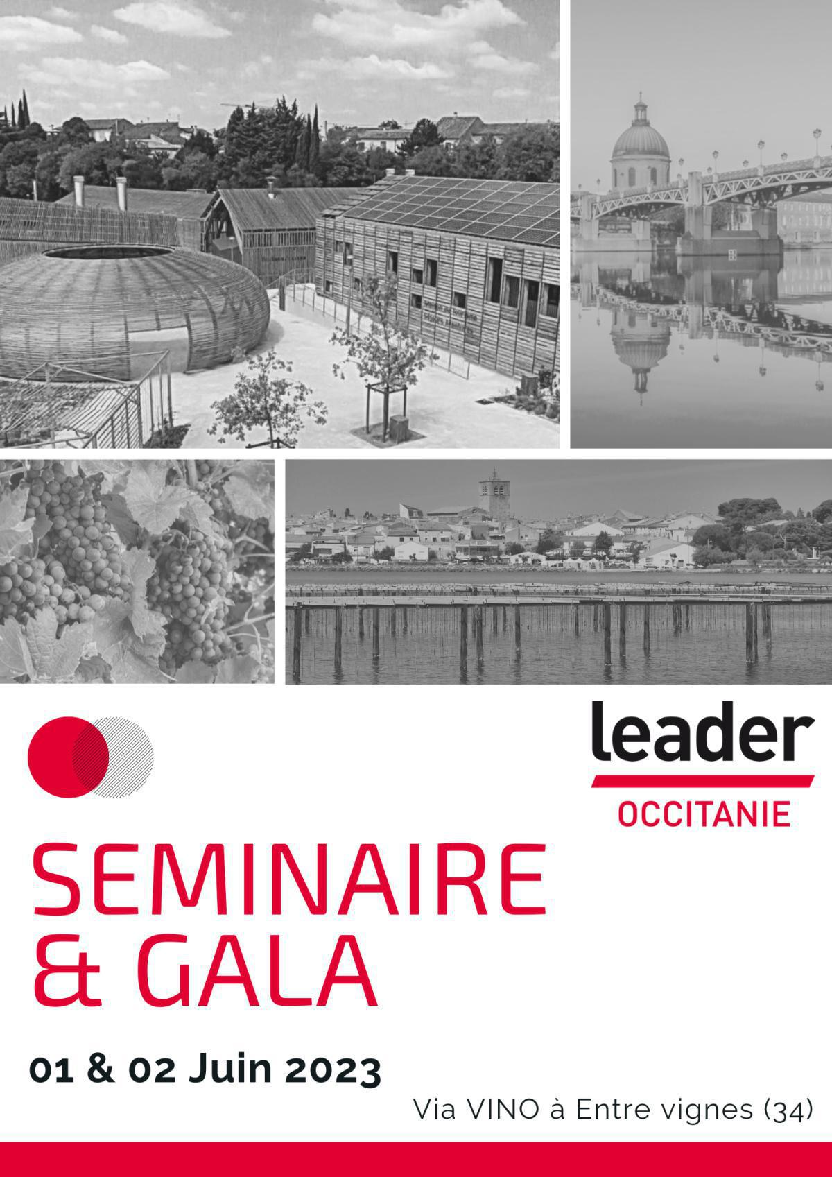 SEMINAIRE LEADER OCCITANIE SEMINAIRE LEADER OCCITANIE