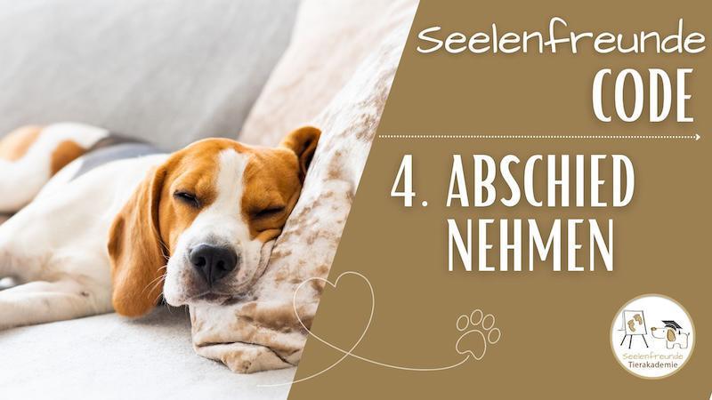 Code 4: Altern, Sterben & Tod eines Tiers Code 4: Altern, Sterben & Tod eines Tiers