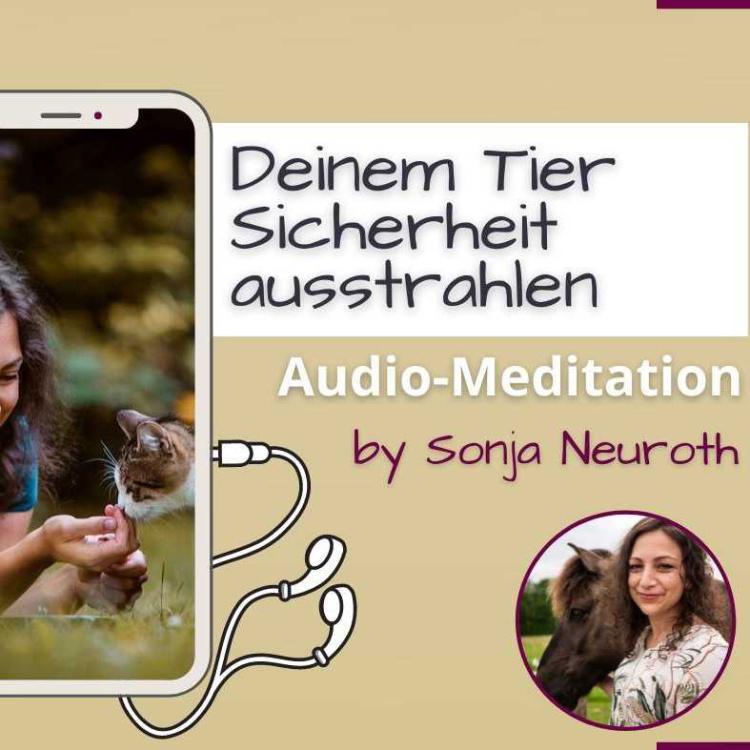 Deinem Tier Sicherheit ausstrahlen (Meditation)