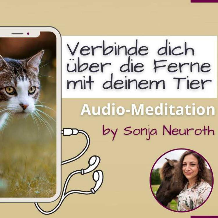 Verbinde dich über die Ferne mit deinem Tier (Meditation)