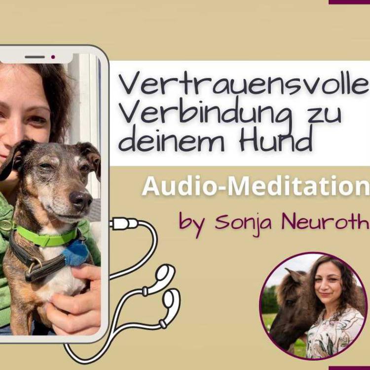Vertrauensvolle Verbindung zu deinem Hund (Meditation)